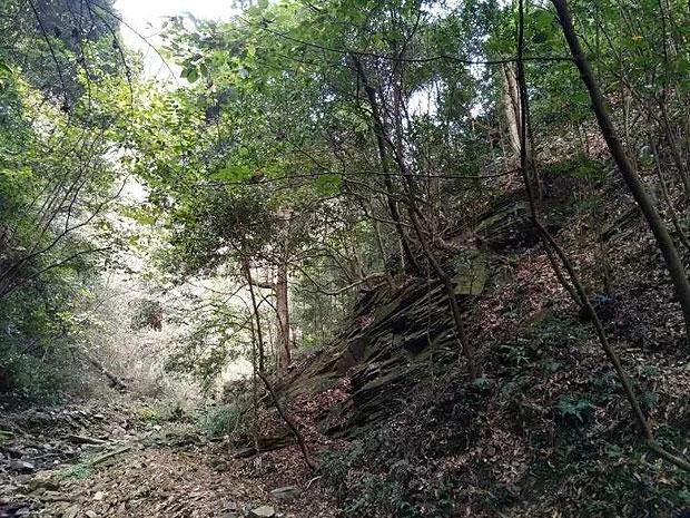 第35集《佛法修学概要》